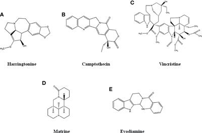 Research Advances on Anti-Cancer Natural Products